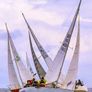 Westerly J24 Indigo Kiss Sailboat Image 5
