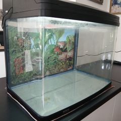 Fish/Reptile Aquarium 62 litre