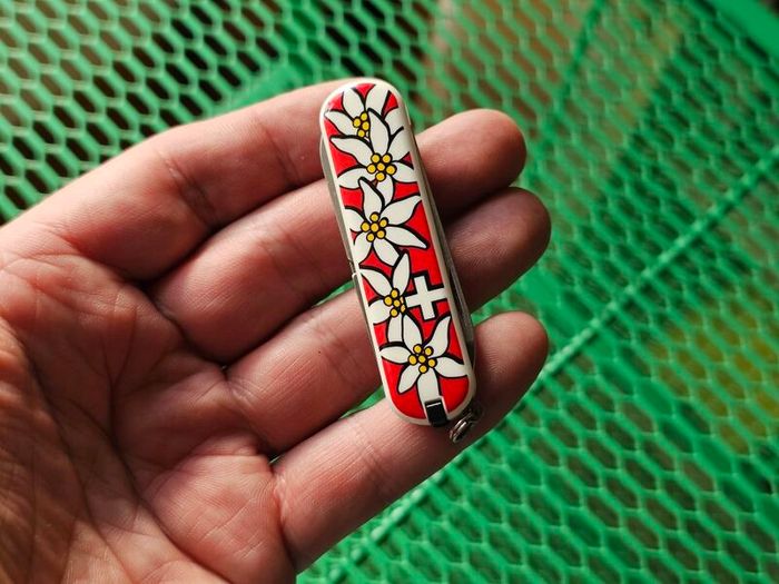 Vintage Wenger Esquire 65mm Swiss Army Knife Discontinued Collectable with Modern Delemont Victorinox Scales