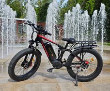 Electric Bike (Doutts S26)