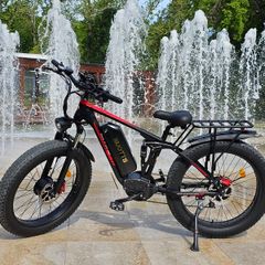 Electric Bike (Doutts S26)