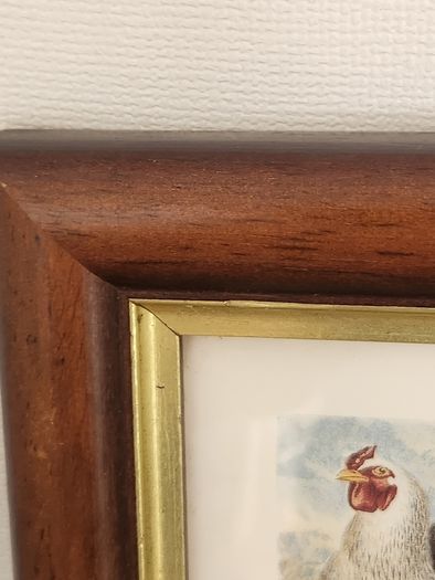 Beautiful Poltry Print Nicely Framed In Good Condition. See Photos For Same.