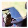 Kerbl True Wireless Smart Cam for Animal Transport - Rechargable - For use as a WLAN hotspot Image 5