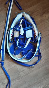 horse harness