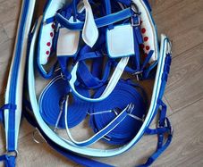 horse harness