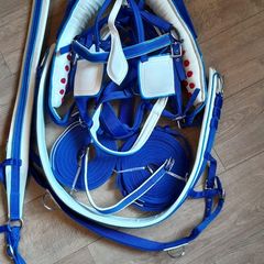 horse harness