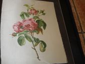 unframed silk picture