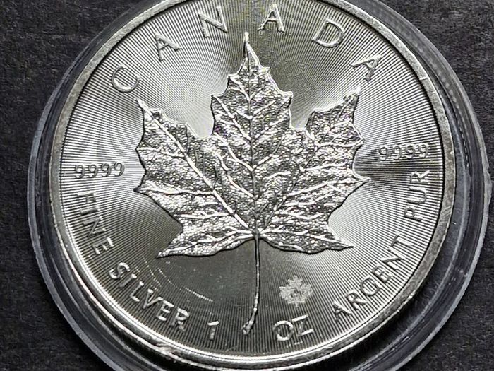 Canada 1 oz  Maple Leaf Silver 2020 Coin