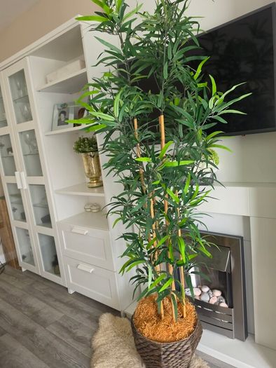 Artificial Bamboo tree with pot