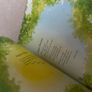 Julia Donaldson Poetry Book Image 3