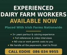 Looking for Dairy Farm Work