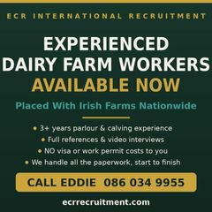 Looking for Dairy Farm Work