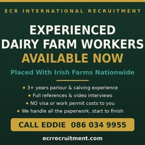 Looking for Dairy Farm Work