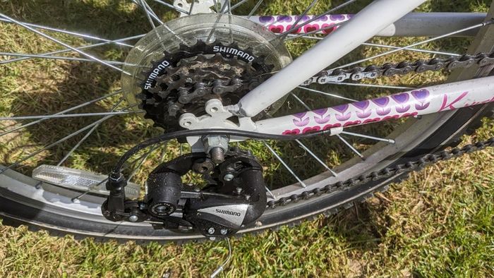 Raleigh Krush 24" girls bicycle