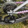 Raleigh Krush 24" girls bicycle Image 3