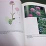 A man who can speak to plants. Dr. Thomas Coulter 1793-1843 of Dundalk Louth Ireland Irish Image 6