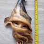 Vintage Rare Find Decorative Leather Mask. Image 3