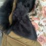 jacket bnwot size Large Zara size 12 Image 9