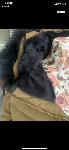 jacket bnwot size Large Zara size 12