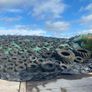 Grass silage Image 3