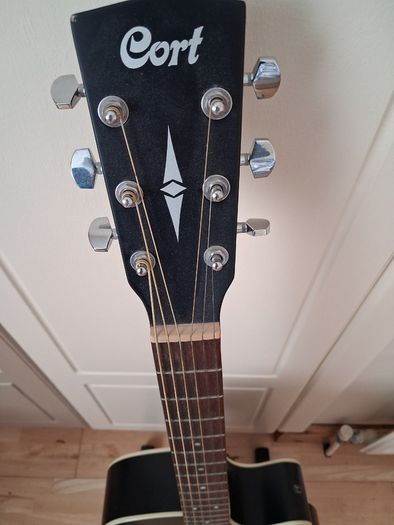 Acoustic Guitar Cort