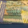 Making Marbled Paper book Image 3