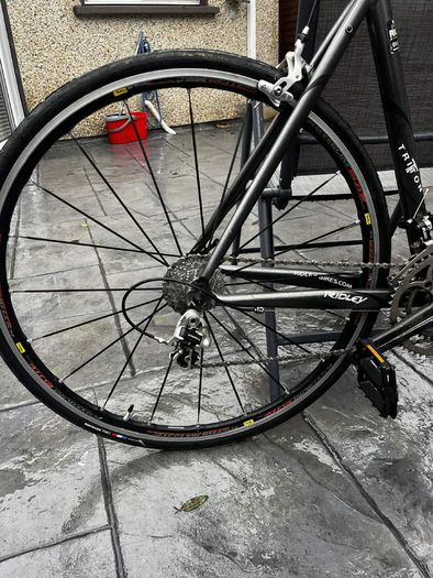 ridley triton