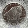 1oz Fine 999 Silver Bullion Liberty Indian Buffalo Round . Image 2