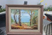 Nice framed Oil Painting