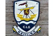 Galway  Crest Cast Iron HS102