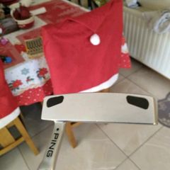 Ping Putter
