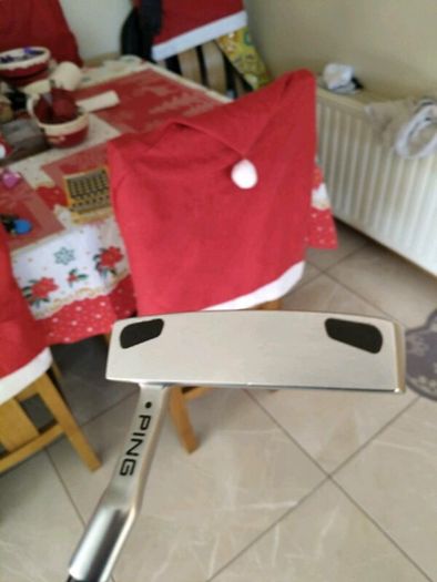 Ping Putter