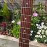 Squier Standard Series Stratocaster - Upgraded Image 7