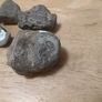 fossils - potentially hundreds of millions of years old Image 7