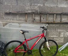 adult bike