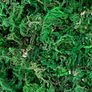 300g Artificial Moss - 10.6 Ounce Floral Decorative Fake Fresh Green Moss for Potted Plant Centerpieces, Terrariums, Decor, Life-Like Garden Lawn Grass Image 6