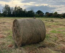 Bales of rushes
