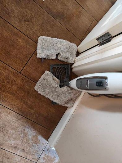 free steam mop