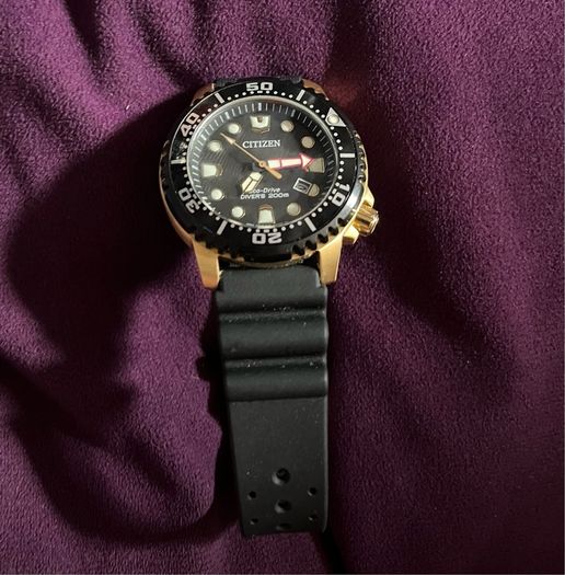 Citizen promaster Diver Stainless Steel Eco-Drive Watch solar powered