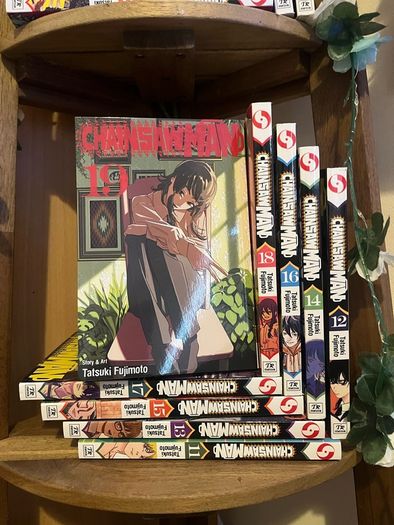 Chainsaw Man Manga (vol. 11-24)
