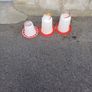 chicken feeders Image 2