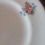 Arklow plate Image 2