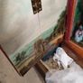 Antique Victorian burr walnut display cabinet Image 2
