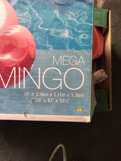 pool toy