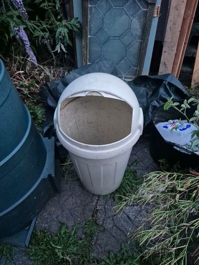 Bin