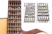 Guitar Neck Fretboard Note Map / Fret Sticker (new)