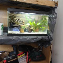 Fish Tank