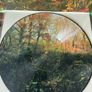 Earth - Hibernaculum (Limited Picture Disc) Image 5