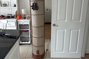 lamp