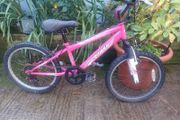 Power kids bike